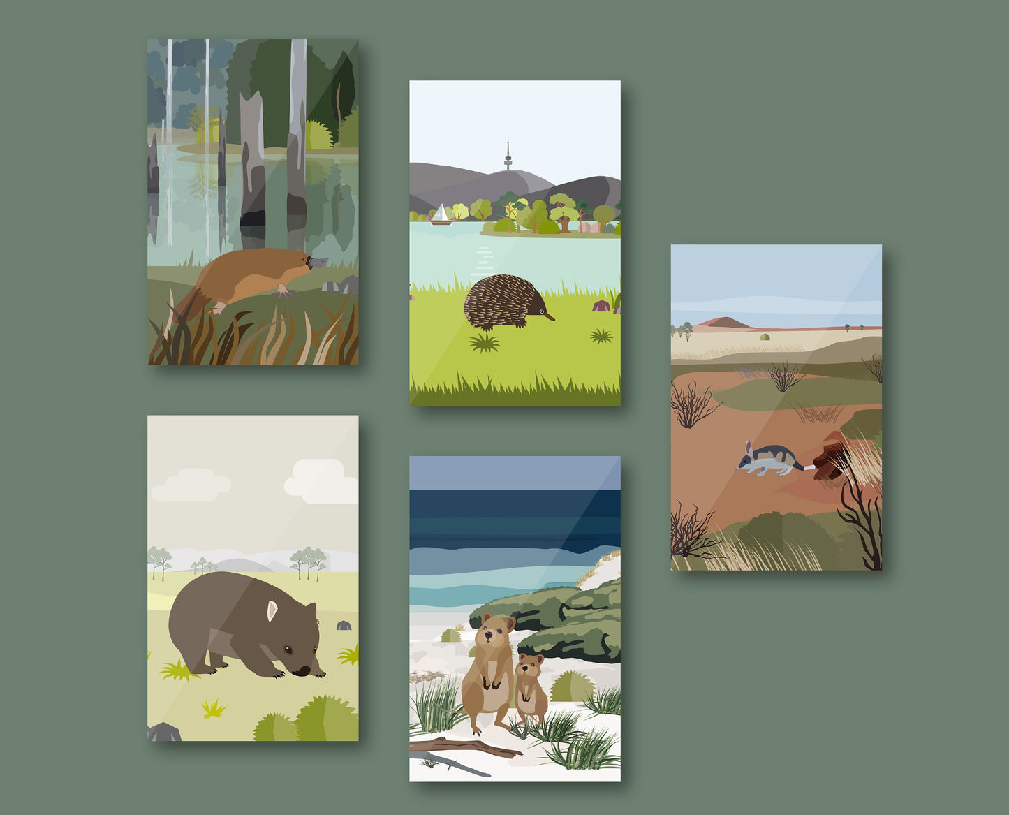 Notizbuch | Australische Tiere | liebevolle Illustrationen | 13x20 cm