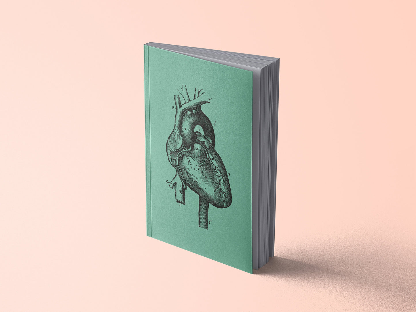 Notizbuch Menschliches Herz, Gehirn, Niere, Innereien, Auge, Ohr oder Torso, Brustkorb, Schädel | Anatomische Vintage Zeichnung | 13x20 cm