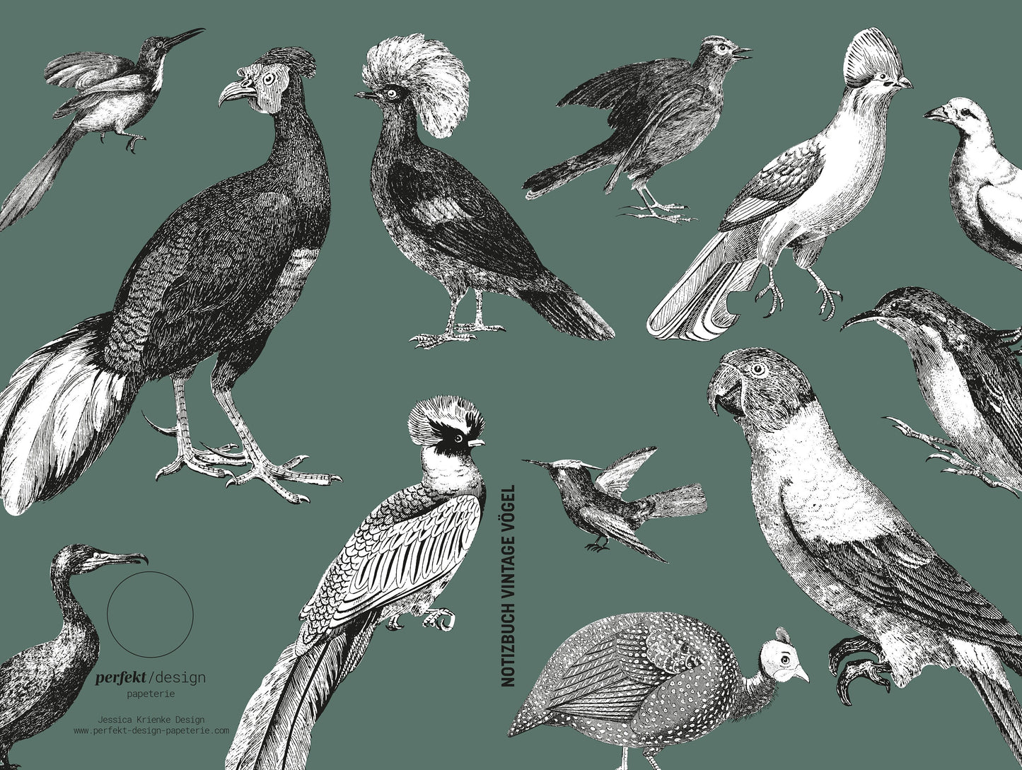 Notizbuch Vintage Papageien & Paradiesvögel | 13x20 cm