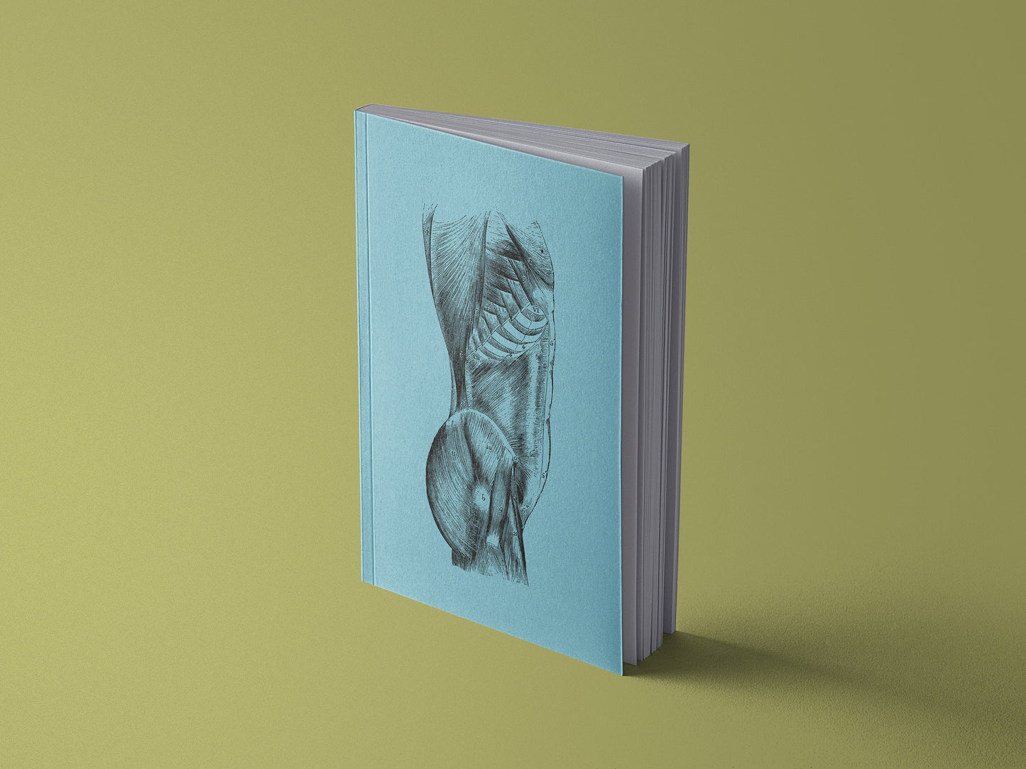 Notizbuch Menschliches Herz, Gehirn, Niere, Innereien, Auge, Ohr oder Torso, Brustkorb, Schädel | Anatomische Vintage Zeichnung | 13x20 cm