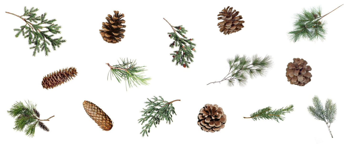 Keramik Tasse Zweige & Zapfen | 340 ml | minimalistisches Design