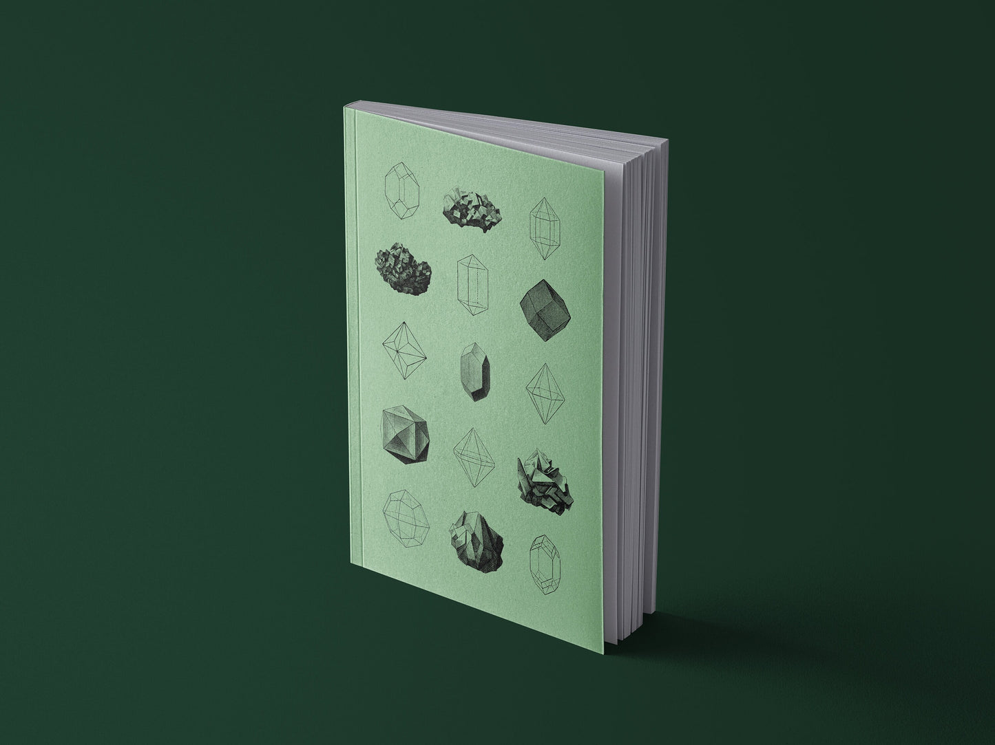 Notizbuch Mineralien | 13x20 cm