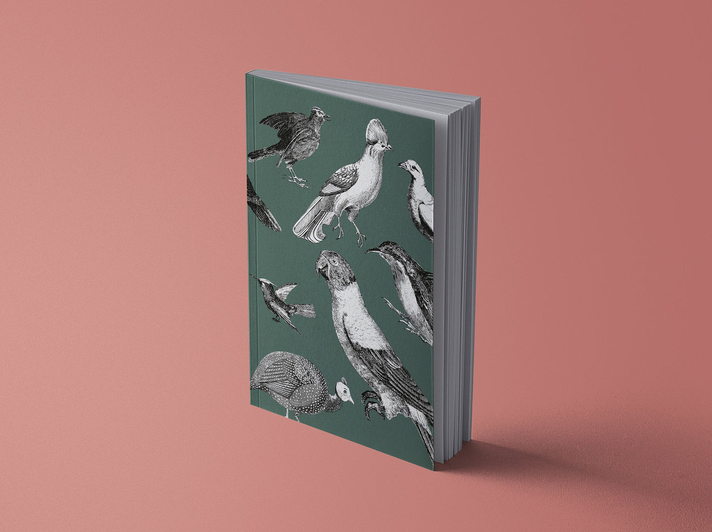 Notizbuch Vintage Papageien & Paradiesvögel | 13x20 cm