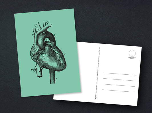 Postkarte | "Human Heart" | Menschliches Herz | anatomische Vintage Zeichnung | A6