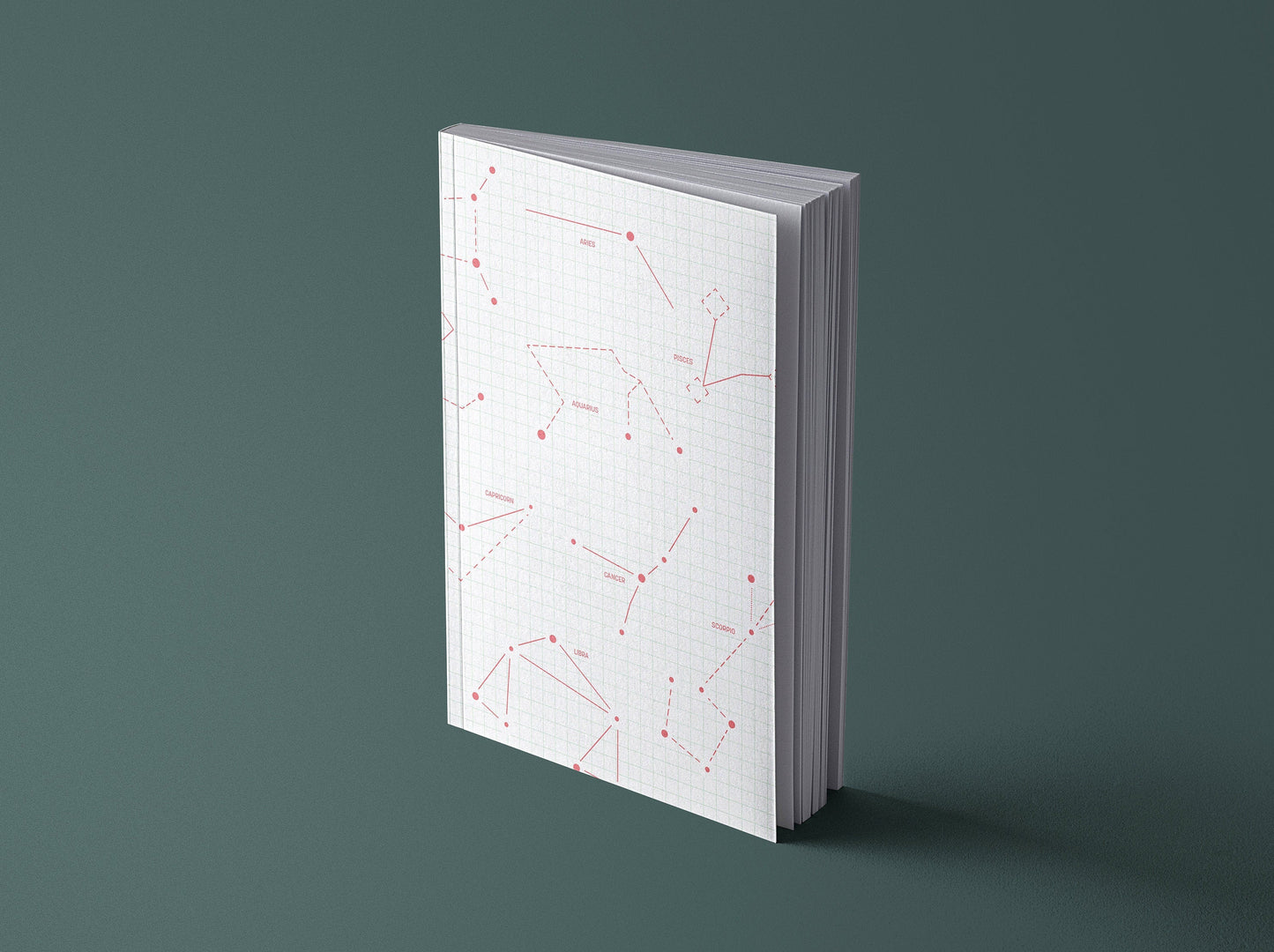 Notizbuch | Sternzeichen | minimalistisch | 13x20 cm